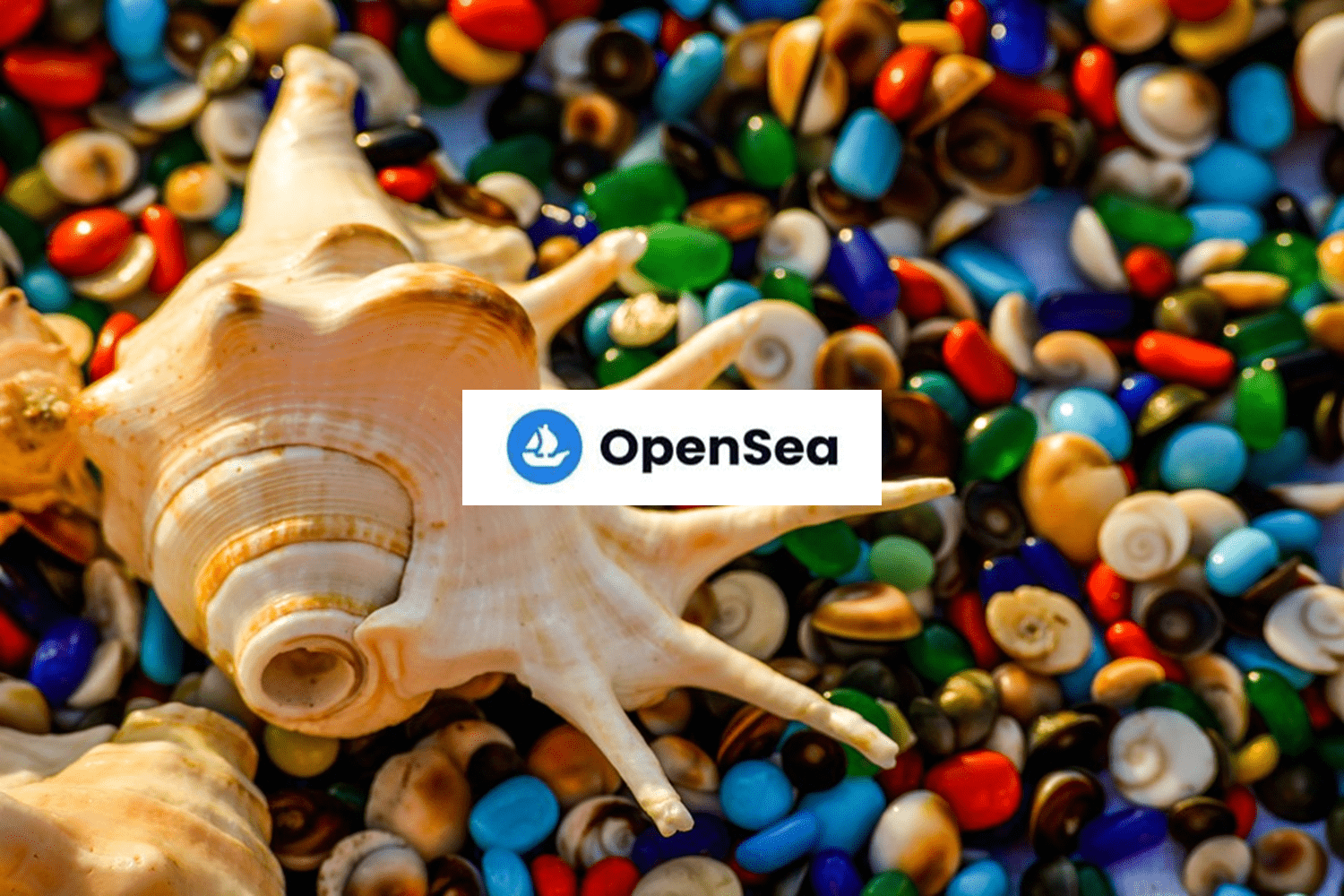 OpenSeaでの買い方を画像で説明します。